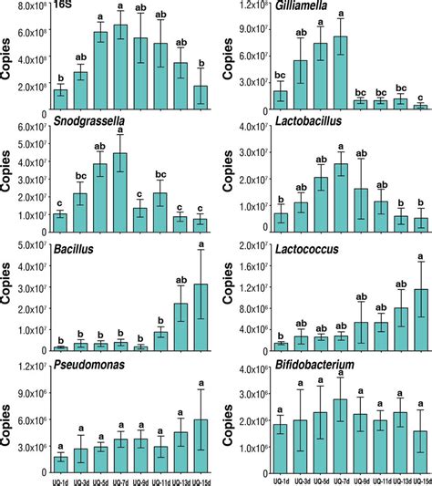 The Change Of Copy Numbers Of Overall Bacteria 16S RRNA Copies And