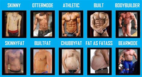 Body Types Ottermode