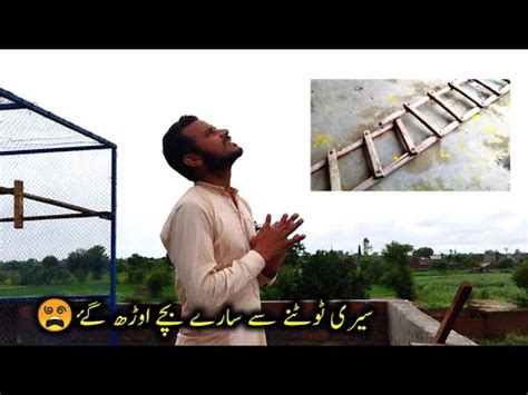 Seeri Tootne Se Sare Bache Urh Gay YouTube