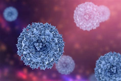 Taux D Infection Et R Ponses Immunologiques L Infection Par Le Sras