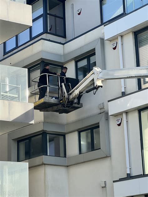 Bird Proofing | Ringwood Pest Control