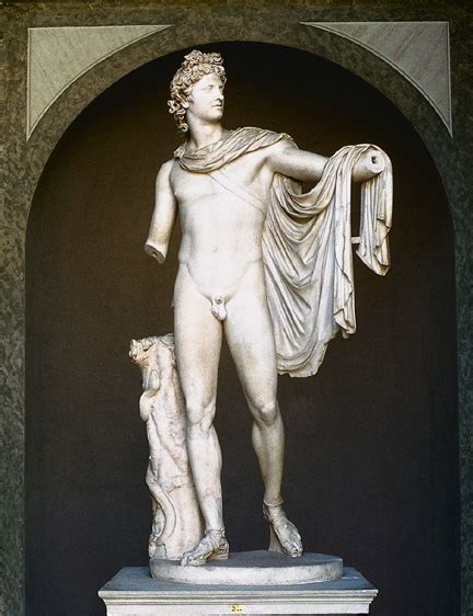 Widows To The Universe Image Mythology Images Apollo Belvedere