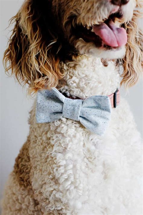 how to make collar bows for dogs