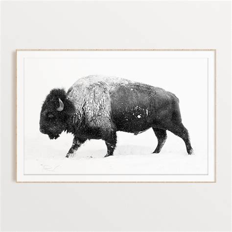 Home Décor Home And Living Buffalo In Snow Print Bison Printable Bison Wall Art Buffalo Wall Art