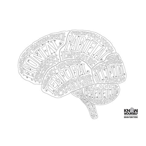 The Hippocampus Oxford Neuroscience Series 2