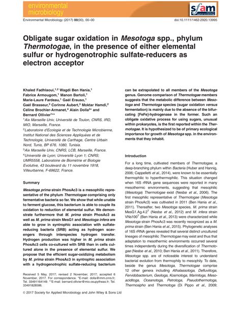 (PDF) Obligate sugar oxidation in Mesotoga spp., phylum Thermotogae, in ...