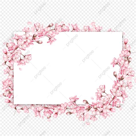 Spring Cherry Blossom Hd Transparent Pink Flowers Spring Cherry