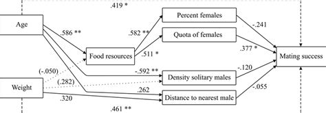 Path Diagram Showing The Hypothesized Causal Relationships Of Age And Download Scientific