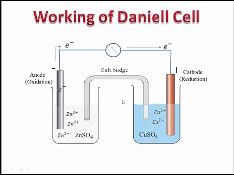 daniell cell order cheapest llaollaocom