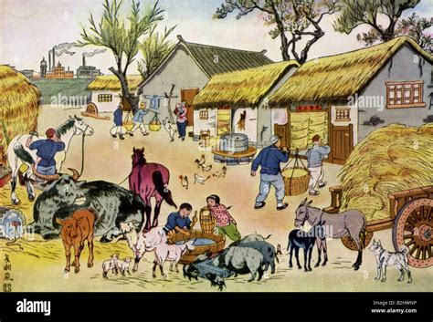 China Pig Farm Hi Res Stock Photography And Images Alamy