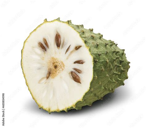 Sour Sop Prickly Custard Apple Annona Muricata L Treatment Of