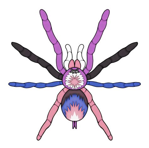 best tarantula not drinking without vet 1