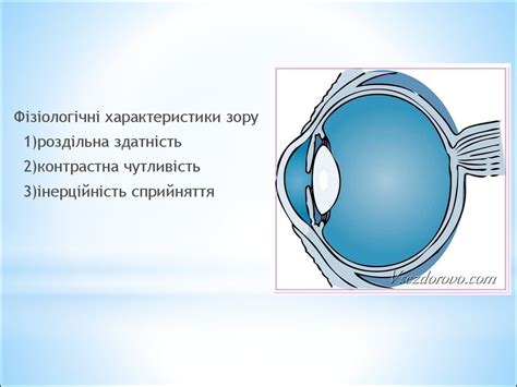 Основні принципи функціонування телевізійних систем - презентация онлайн