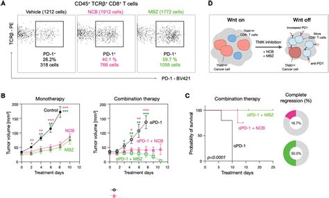 Tnik Inhibition Has Dual Synergistic Effects On Tumor And Associated