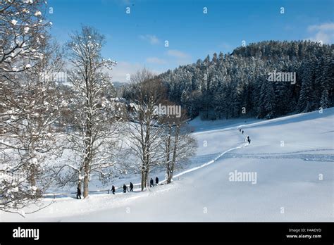 Breisgau Alto Livello Immagini E Fotografie Stock Ad Alta Risoluzione