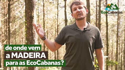 De Onde Vem A Madeira - De onde vem a madeira para as EcoCabanas? - YouTube