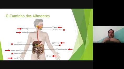 Conduz Os Alimentos Da Faringe Até O Estômago