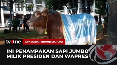 Presiden Dan Wapres Serahkan Sapi Kurban Ke Masjid Istiqlal Akip