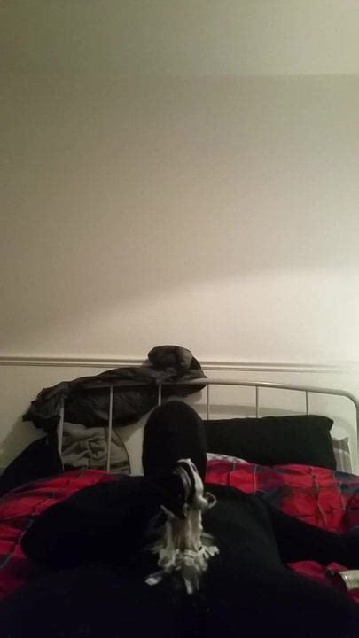 Zentai Free Gay Amateur Handjob Porn Video 1f XHamster