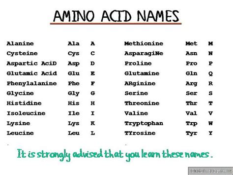 Aminoacidnames