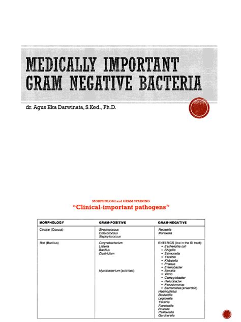 medically important gram negative bacteria