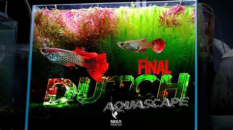 Dutch Aquascape Final Bitkili Akvaryum Kuruyorum B L M By Nixa