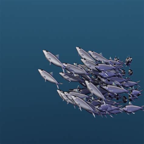 Animated School Of Sardine Fishes Swimming Type 2 3d Model 20 C4d