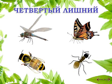 Дидактические игры "Насекомые" - презентация онлайн