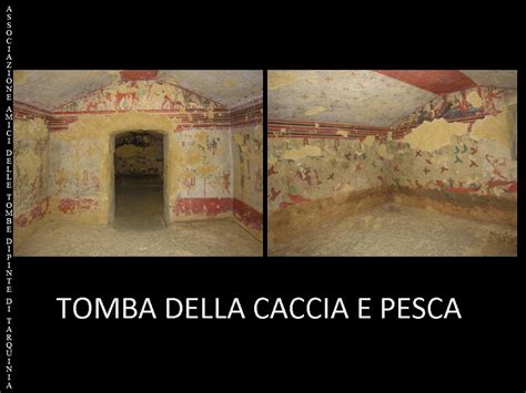 Tomba Della Caccia E Pesca Tarquinia Associazione Amici Delle Tombe