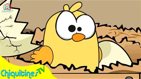 El Pollito Lito 🐣 La canción infantil más TIERNA 🌛⭐️ para la hora de