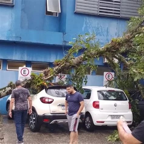 Rvore Cai Em Cima De Carros De Pacientes No Hospital Regional De