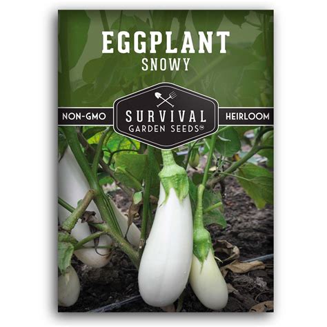 Snowy Eggplant Seeds for Planting - SurvivalGardenSeeds