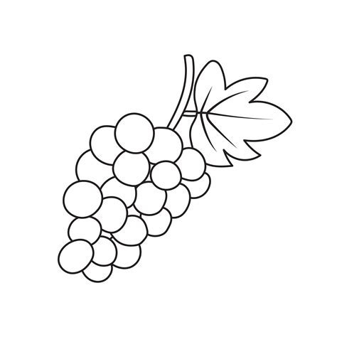 hand drawn kids drawing cartoon vector illustration grapes fruit icon