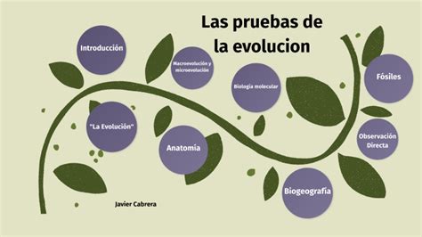 Pruebas De La Evolucion By Javier Cabrera Perez On Prezi