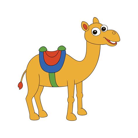 what is a camel saddle 6