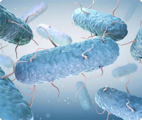 ancient organics bioscience put  heartbeat    soil