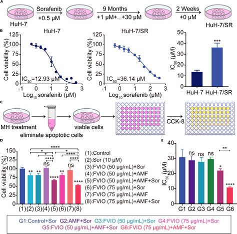 Intracellular Magnetic Hyperthermia Reverses Sorafenib Resistance In