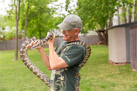 Backyard Snakes: What’s friendly and what’s venomous - Advocate Media