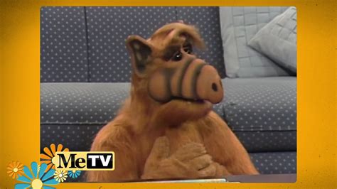 Alf Tv Show