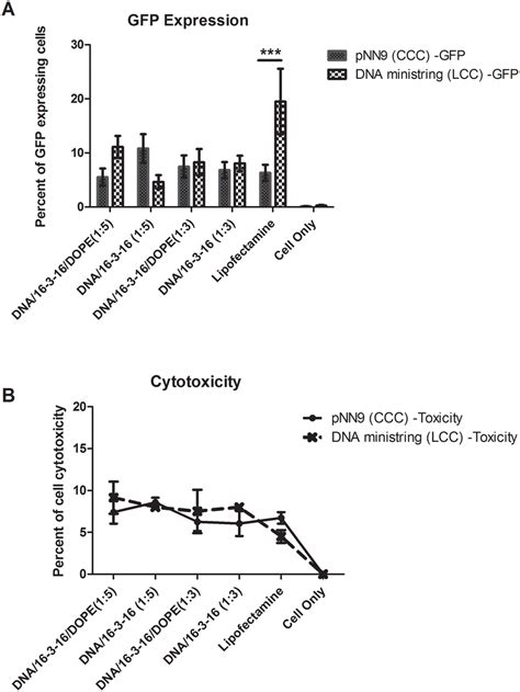 Effect Of Dna Topology On In Vitro Gemini Surfactant Based Transgene