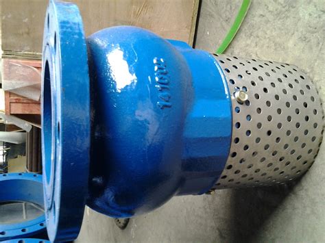 Screen Mesh Custom Flanged Foot Valve With Stainless Steel Screen Strainer