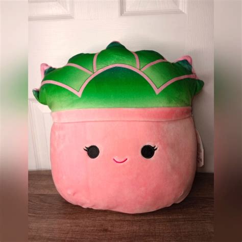 Squishmallows Toys Nwt 2 Afiyah The Succulent Poshmark