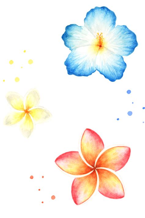 hibiscus print hibiscus art hibiscus gift colourful flower print