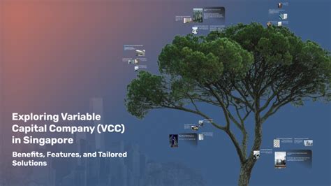 exploring variable capital company vcc  singapore  mel ghadban