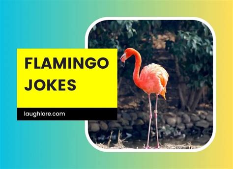 109 Flamingo Jokes