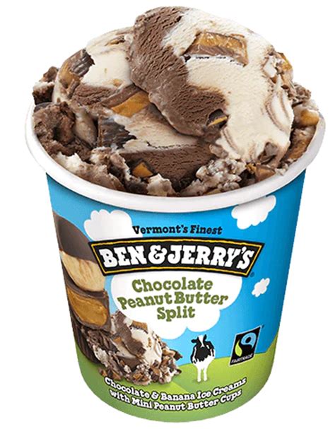 Ben And Jerrys Chocolate Peanut Butter Split Ice Cream Pint 1 Count