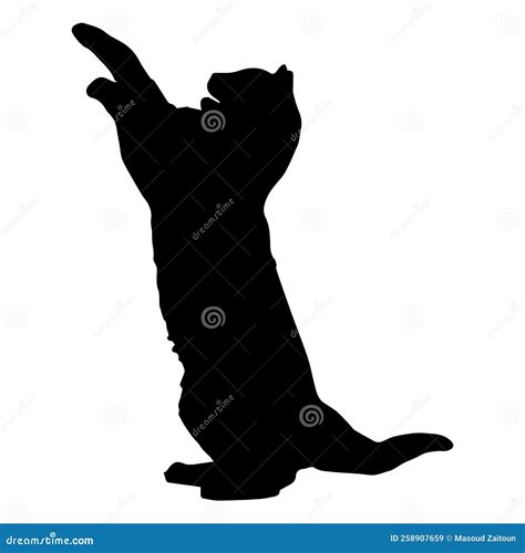 Black Cat Silhouette Standing Cat Stock Vector Illustration Of