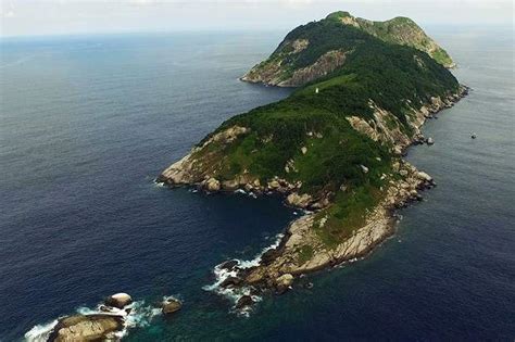Ilha Da Queimada Grande Cobras - Ilha da Queimada Grande: a ilha das cobras! | Guia do Nômade Digital ...