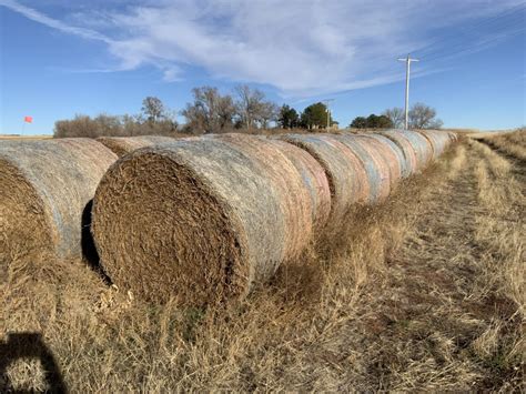 December Panhandle Farmers And Ranchers Hay Auction Kraupie S Real