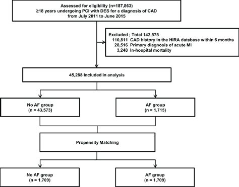 Diagrammatic Representation Of The Study Af Atrial Fibrillation Cad